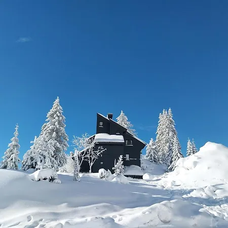 Chalet Hauts Forts à Avoriaz - 12 Pers, Skis Aux Pieds, Terrasse Sud, 5 Ch, 5 Sdb - Fr-1-633-33